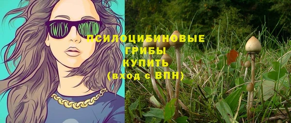спиды Нея
