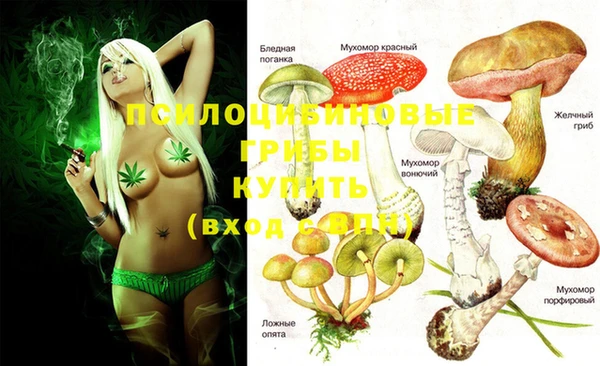 сатива Нефтегорск