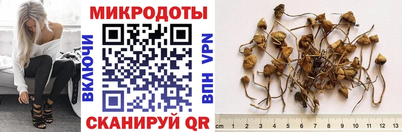 сайты даркнета состав  сколько стоит  Сим  Галлюциногенные грибы Cubensis 